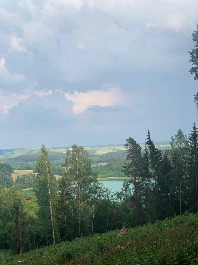 Willa Hancza Smolniki  Exteriör bild